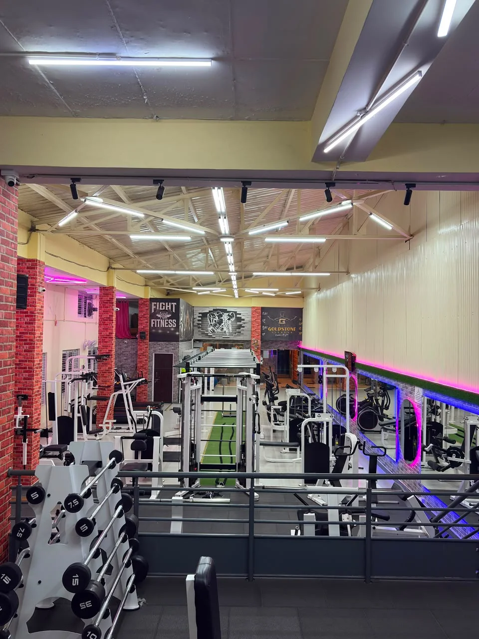 Goldstone Fitness Gym - Advanced Plate-Loaded Strength Equipment